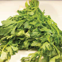 Celery 