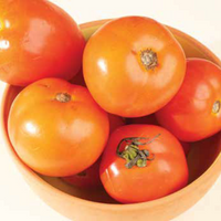 Fresh Tomatoes