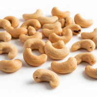 Cashew