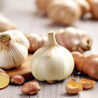 Ginger and Garlic